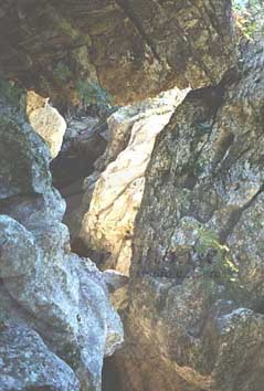 immagini delle gole del Calore