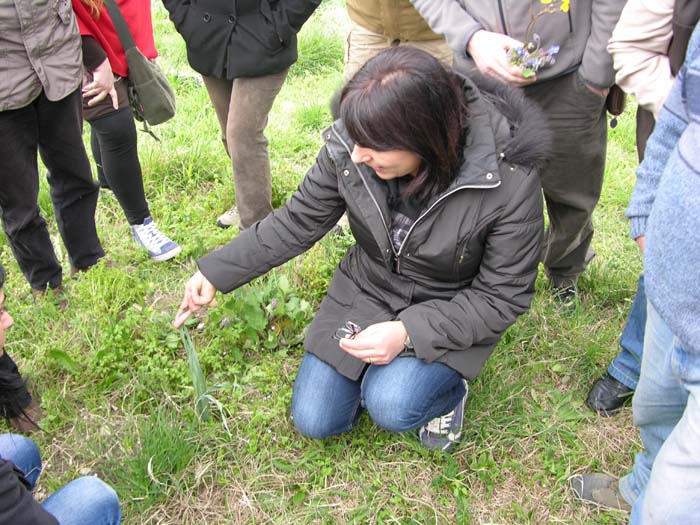 momenti del workshop