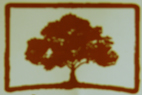 logo Occhiano