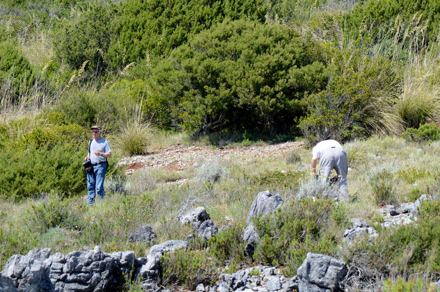 acta sulla costa cilentana