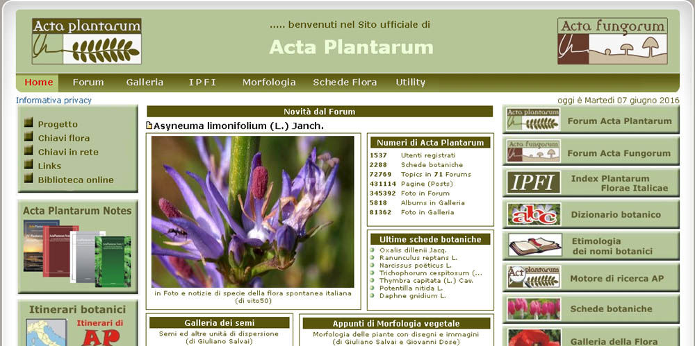 home page Acta plantarum